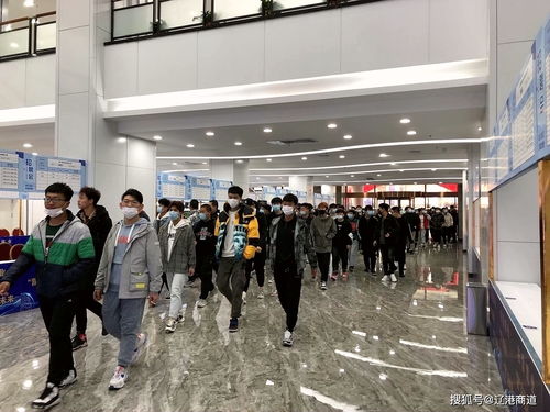 營口站前區 人力資源產業園 構建國際 人才港