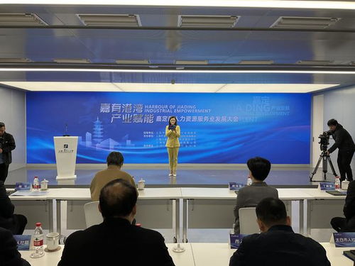 嘉有港灣 產業賦能 嘉定區舉辦人力資源服務業發展大會