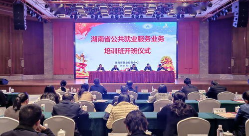 湖南人社 推動(dòng)基層就業(yè)服務(wù)工作全面提質(zhì)增效 湖南省人力資源和社會(huì)保障廳