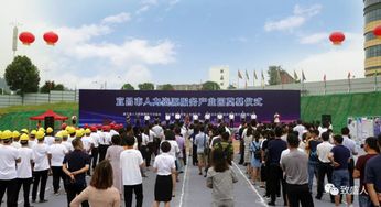 8月宜昌樓市活動精彩紛呈 夷陵萬達等一批新項目驚艷亮相
