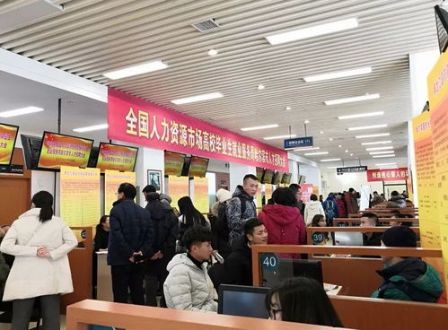 2018年全國人力資源高校畢業生就業服務周 哈爾濱市人才招聘大會成功舉辦