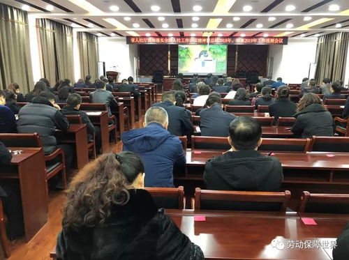梨樹縣人社局組織全體干部職工集中收看全省人力資源和社會保障工作視頻會議